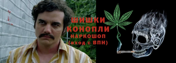спайс Алзамай
