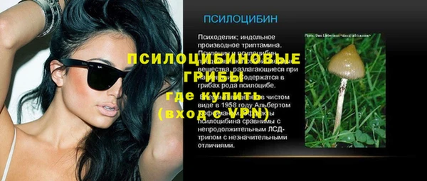 ешки Абаза