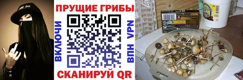 Галлюциногенные грибы MAGIC MUSHROOMS гидра ссылка Фёдоровский